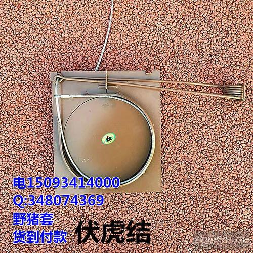 套野猪钢丝绳套立式弹簧套横式弹簧套野猪吊脚套野猪弹簧套钢丝绳下套