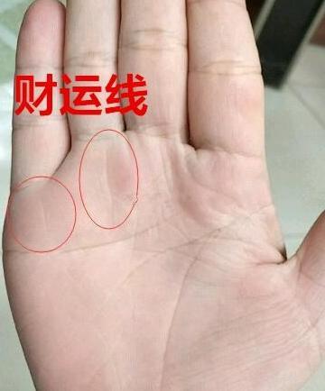 手相手指长短富贵图