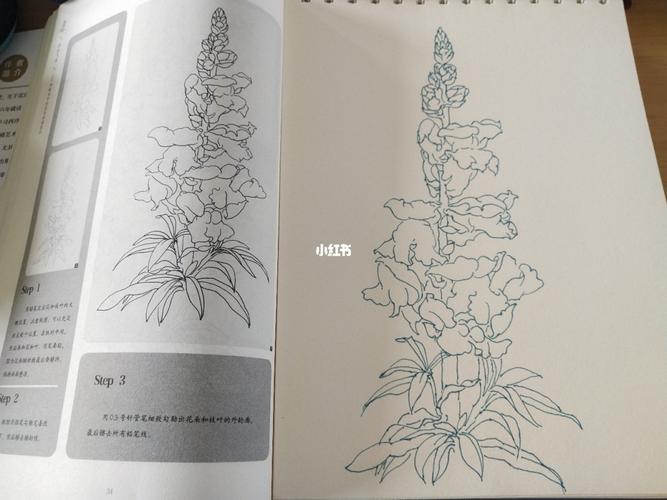 金鱼草_手绘_临摹_文化_绘画