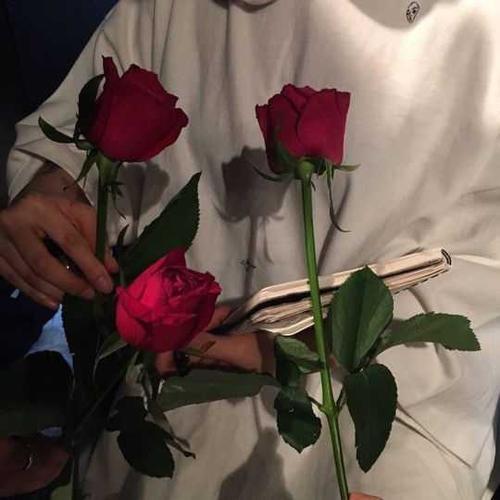 女生手拿花朵头像图片唯美