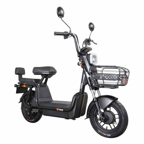 舒适耐骑就选雅迪