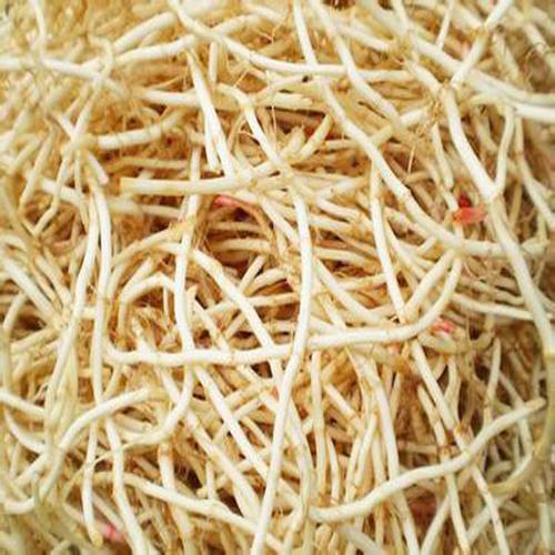 鱼腥草 - 当阳土特产