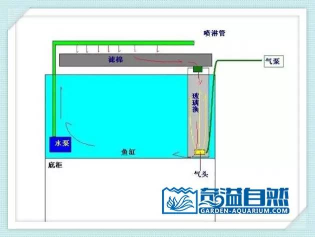 看完这些水循环,鱼缸浑水不发愁(必收藏)