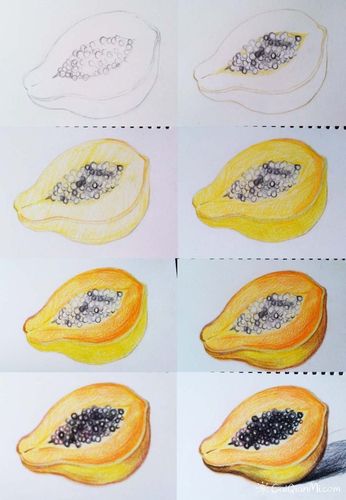 彩铅水果蔬菜步骤初学者手绘教程