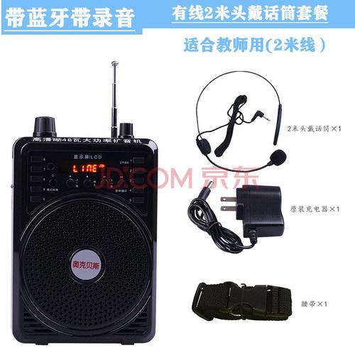 小蜜蜂二胡扩音器二胡笛子扩音机教师扩音器无线大功率多功能音响