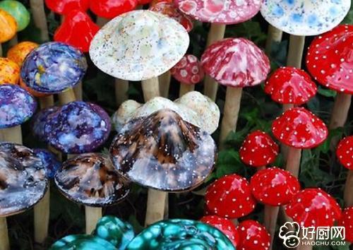 怎样画野生毒蘑菇手抄报 怎样画手抄报