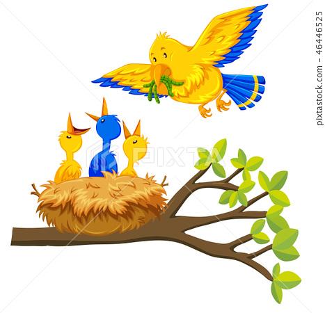 插图素材: bird feeding baby bird