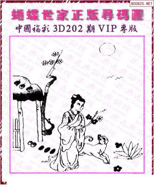 蝴蝶图21202期蝴蝶世家福彩3d图迷