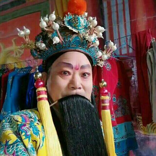 豫剧谢庆军《王祥卧冰》选段_标清