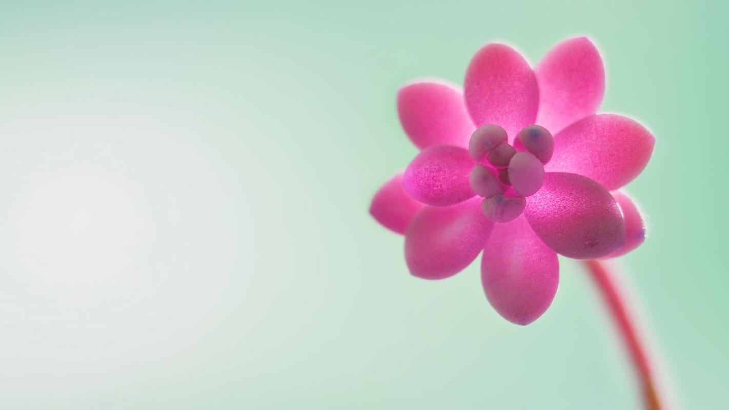 高清壁纸,高清,精选,微软,系统,壁纸,1920x1080