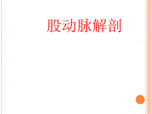 股动脉解剖最新版本