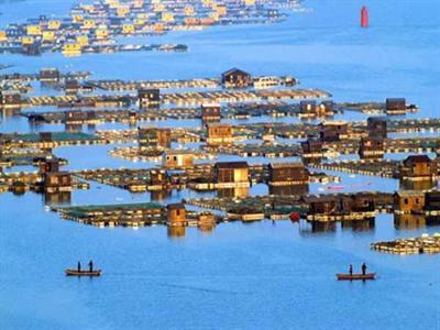   象山二日 > 中国渔村-石浦渔港-溪口老街-西江皮筏漂流