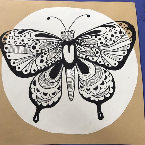 《蝴蝶线描画》昆虫记_绘画_文化_绘画