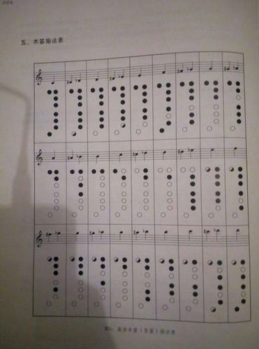 低音1,2,3,4,5,6,7用竖笛怎么吹?最好有图解.