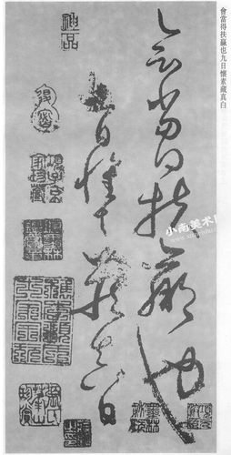 怀素草书《食鱼帖》墨迹欣赏