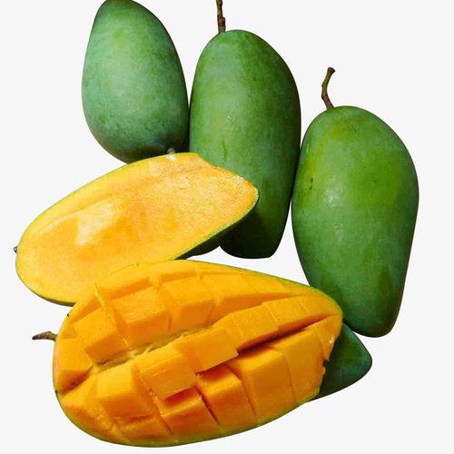 芒果