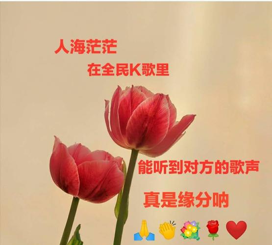 我做的图片放在k歌相册里!2020.4.25 - 美篇