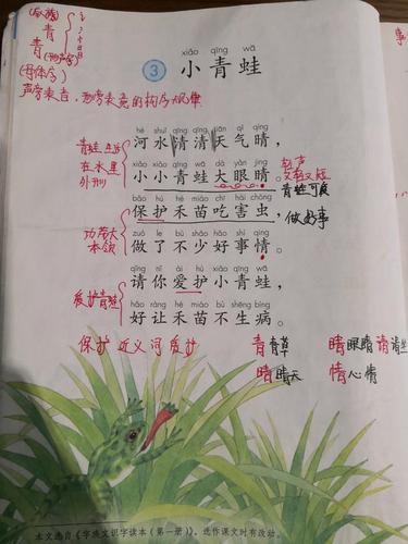 一年级语文下册第三课《小青蛙》知识点,易错点