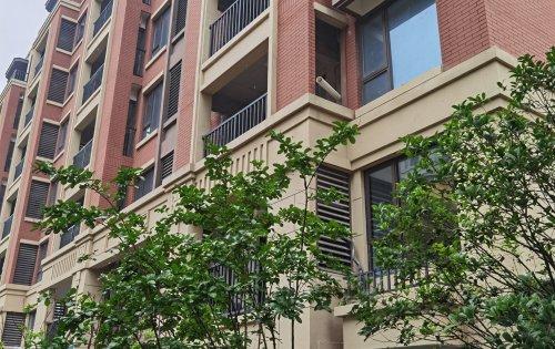 上海楼盘 嘉定楼盘 嘉定新城楼盘 莫里斯花源 楼盘动态