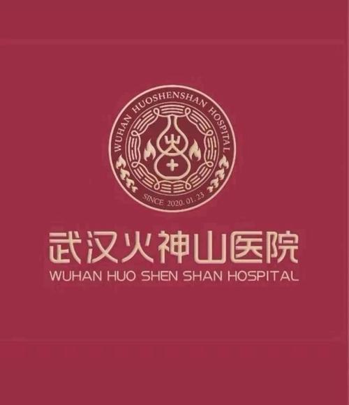 高人设计的武汉火神山医院和雷神山医院的标志,大有来