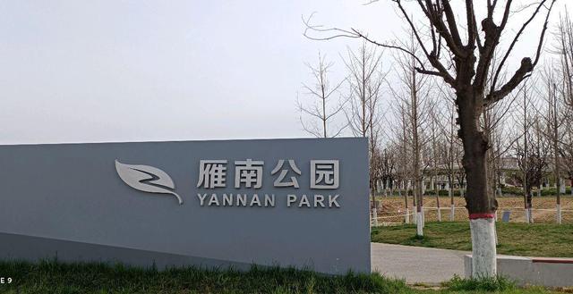 西安南郊雁南公园春日踏青放风筝