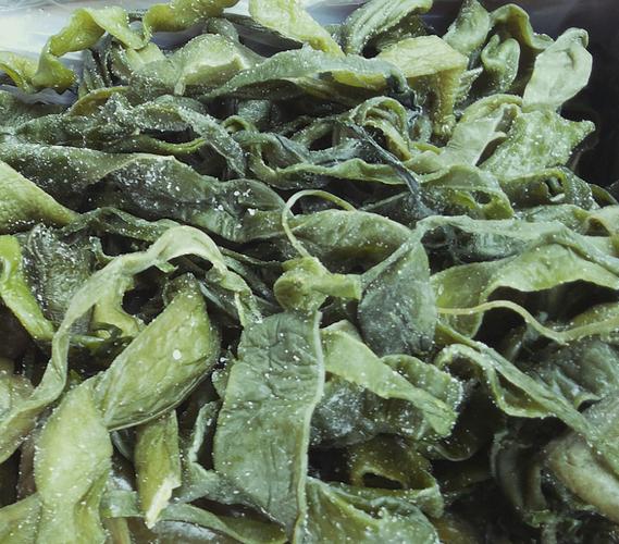 大连特产批发 优质精品盐渍压干海白菜 鲜干裙带菜