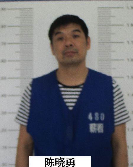 关于公开征集陈晓勇,李俊违法犯罪线索的公告_蕲春县