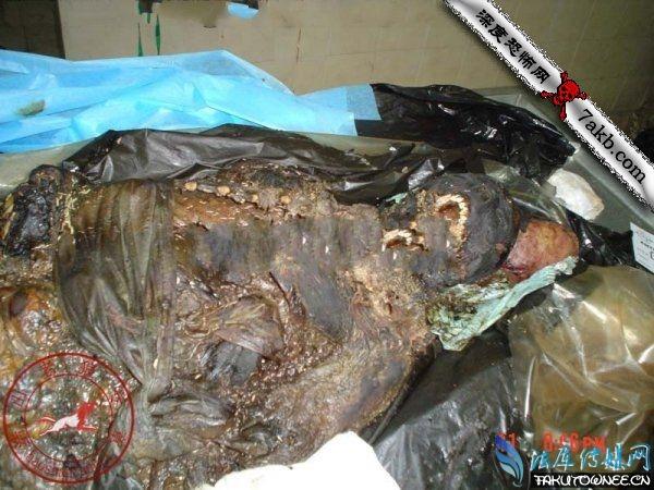 土葬的尸体腐烂过程尸体在地下腐烂图片