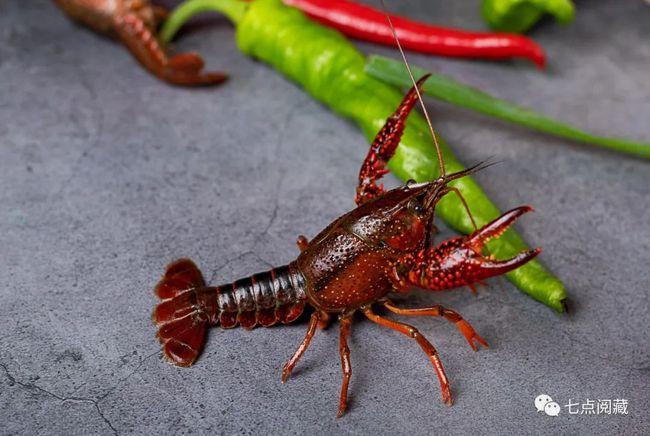 太可怕了吃小龙虾的真实果报多亏了高僧点化