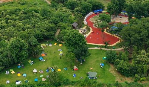 龙池山自行车公园"茶园月色"营地