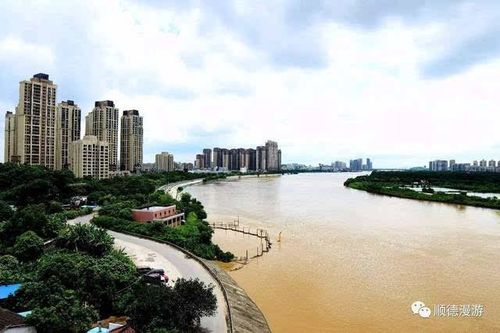 容桂 小黄圃 大汕岛