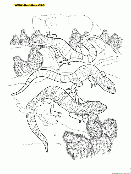 壁虎简笔画的画法3张-儿童简笔画大全