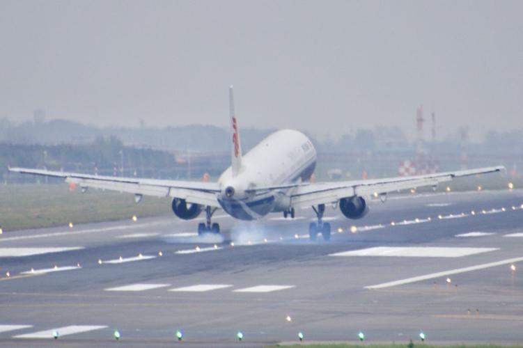首届空港油菜花节芜湖起飞了