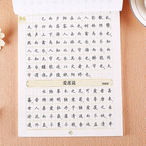 字帖高中生字帖语文楷书衡水字体钢笔练字写字贴荆霄鹏正楷硬笔练字帖