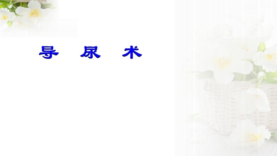 导尿操作流程.ppt