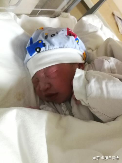 刚出生不久的小婴儿有多可爱,有没有视频/照片?