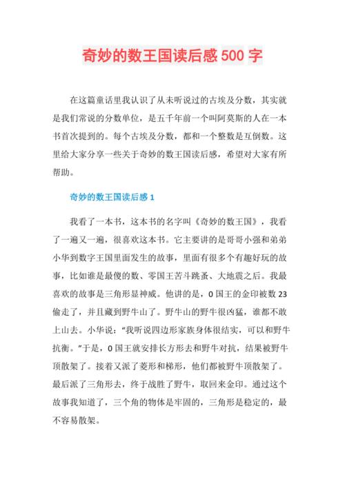 奇妙的数王国读后感500字