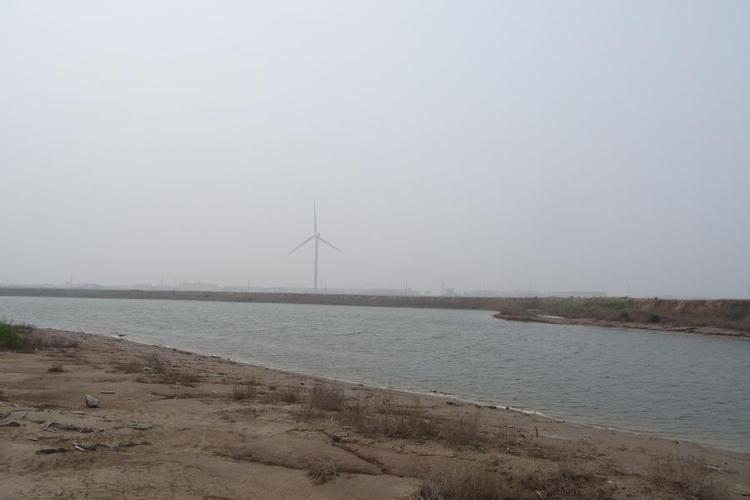 【变卖】李万刚所有的位于寿光市羊口镇小清河北岸的浅海滩涂开放式