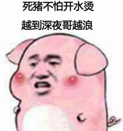 死猪不怕开水烫,越到深夜哥越浪