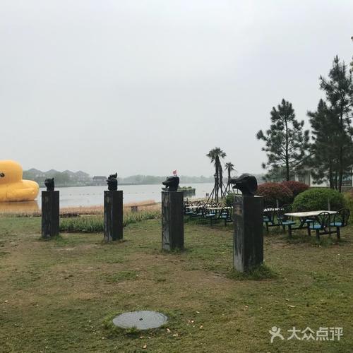 杭州湾海上花田