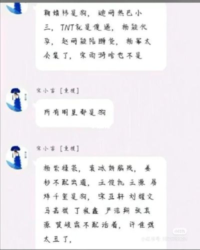 这就是证据,我从小红书上面刷出来的,宋小睿让你的粉丝嘴巴都洗干净点