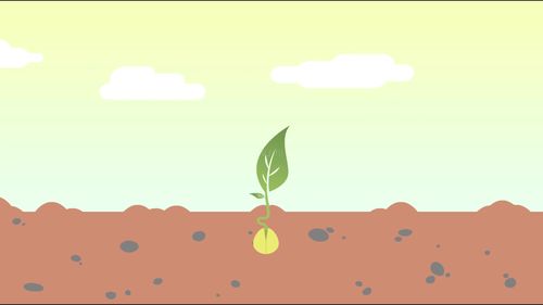 mg种子破土而出