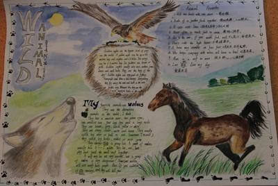 八年级保护动物手抄报 保护动物手抄报