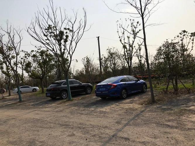长兴岛郊野公园的对外信息中,主入口的地面停车位车与车之间由绿树