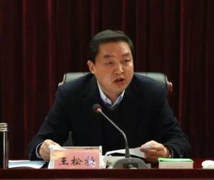 王松柏[陕西省汉中市人民政府秘书长]