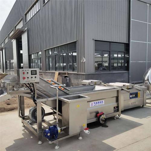 【秋葵气泡清洗机 小麦清洗设备】图片