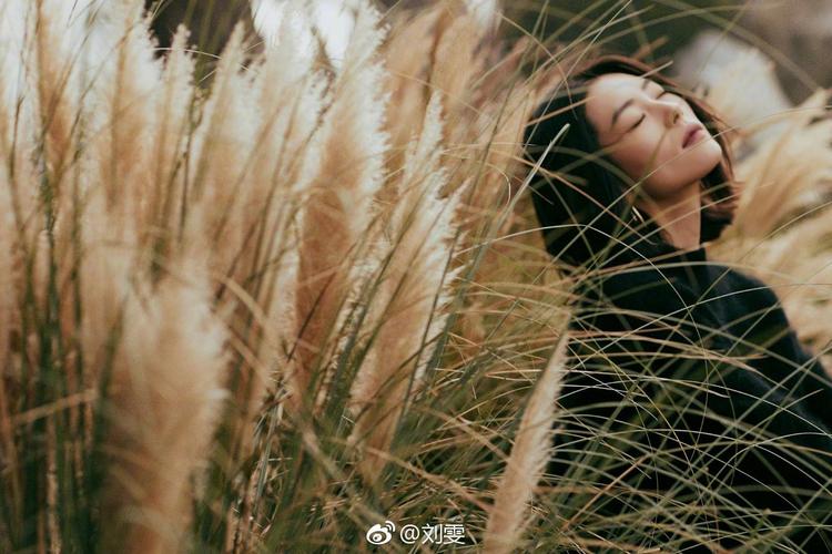 刘雯