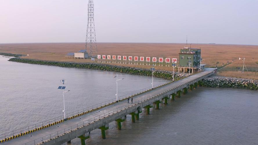 九段沙湿地工作者:守护上海"最后的处女地" | 我与浦东并肩"而立"