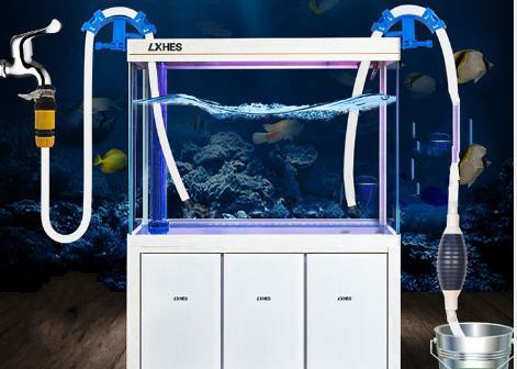 鱼缸水为什么老是浑排查这些地方秒变清澈美美缸