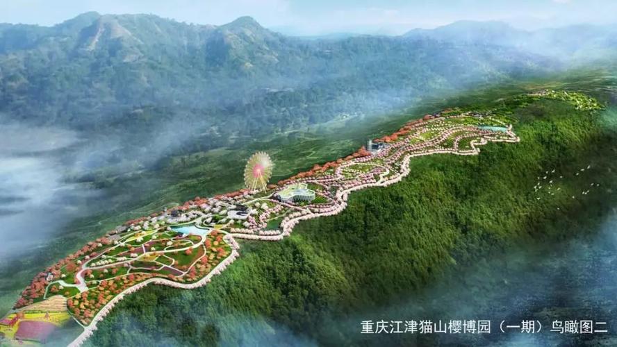 美爆了江津猫山将打造7000亩樱博园